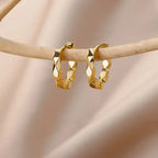 Round Luxurious Stainless Earrings