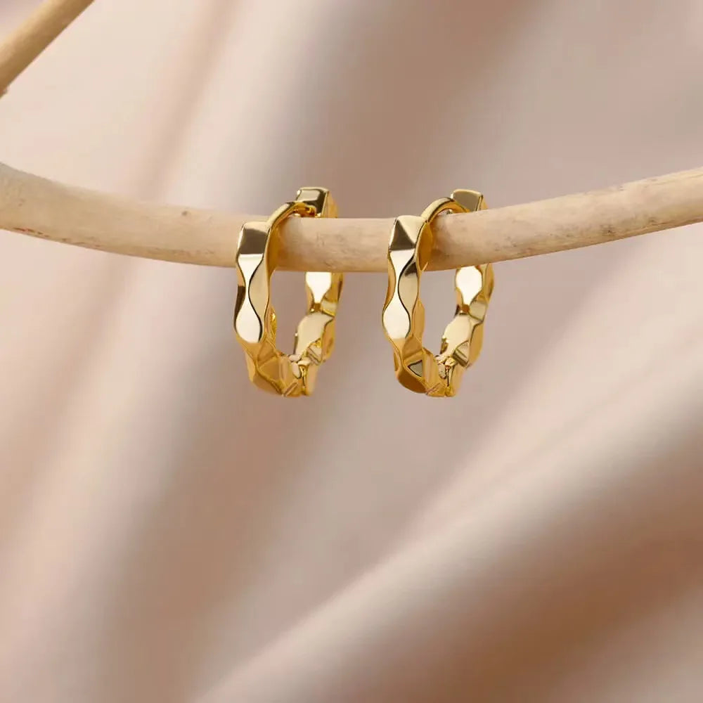 Round Luxurious Stainless Earrings