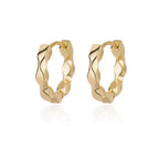 Round Luxurious Stainless Earrings